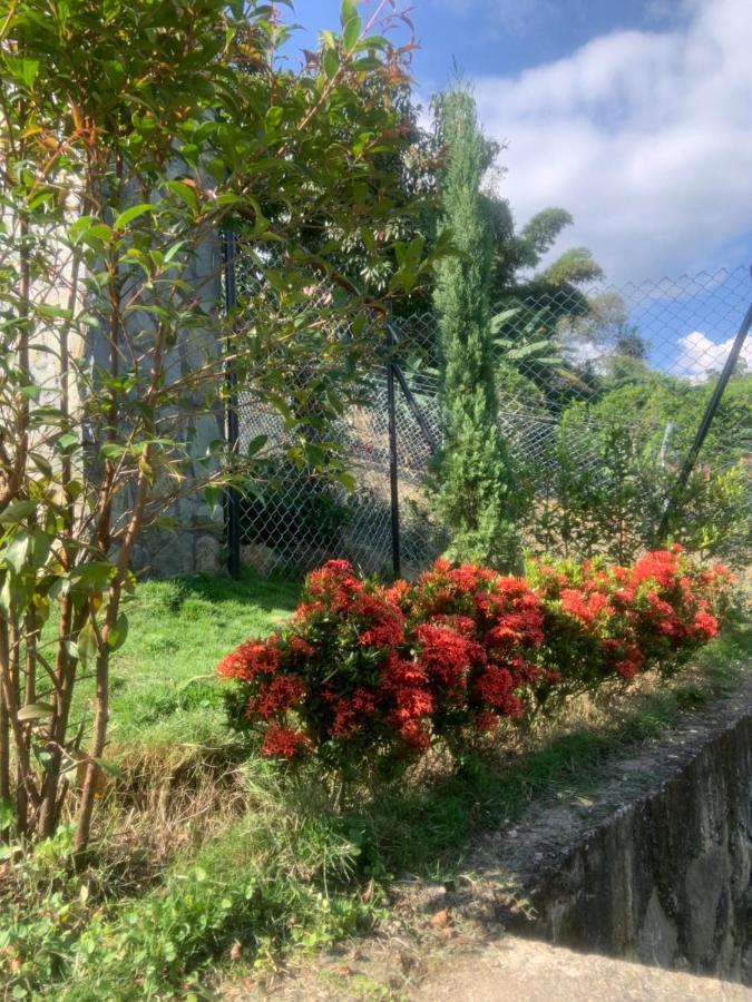 Completa - Casa Privada - Via Bogota - La Mesa Con Wifi - Pet Friendly Holiday home *